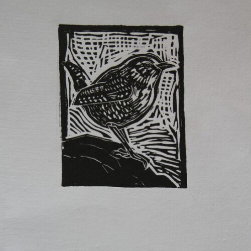 Bird (gaerdesmutte)