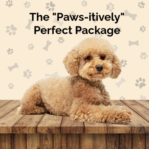 The "Paws-itively" Perfect Package