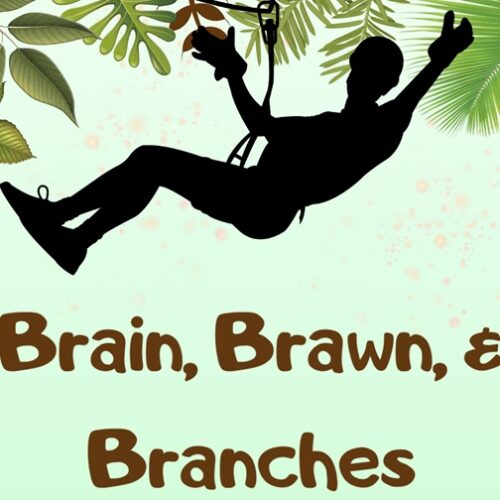 Brain, Brawn & Branches